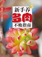 新手養多肉不敗指南